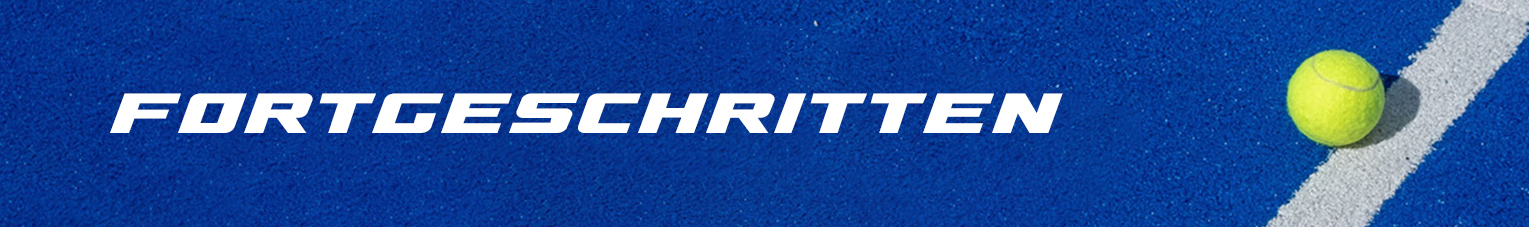 Fortgeschritten